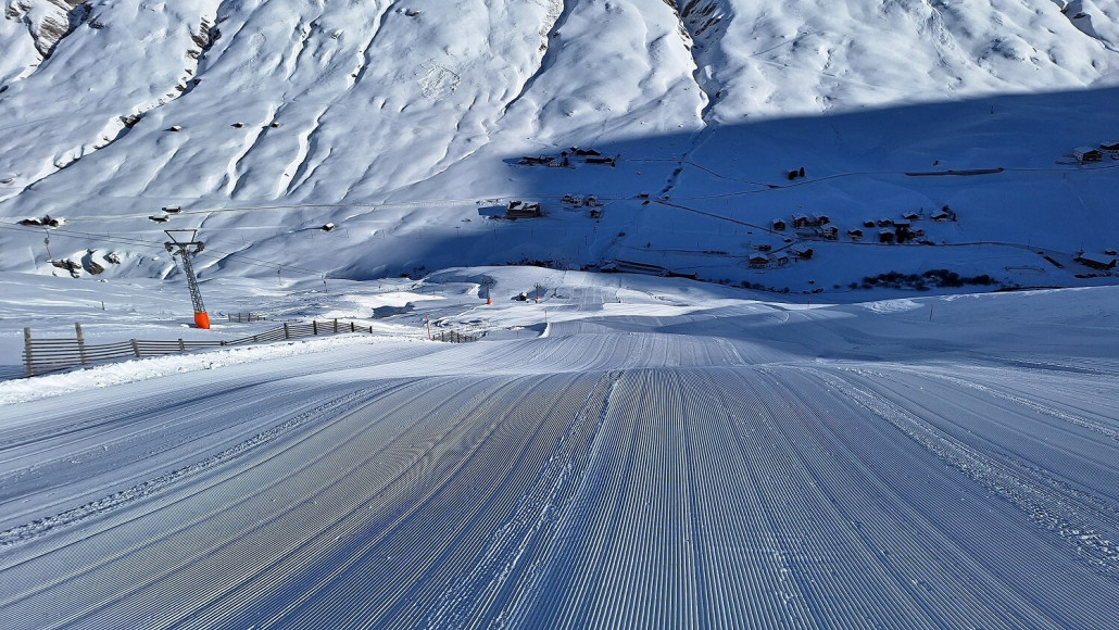 Mittlerer Teil frisch präpariert und schön coupiert