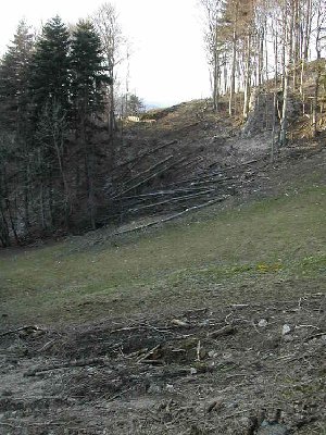 die spur wird wohl einiges breiter werden als bei der alten bahn, da müssen einige bäume gefällt wreden.