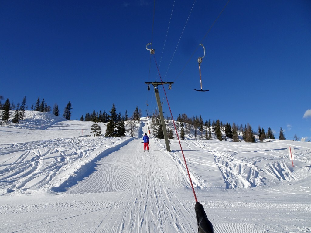 Überall auch ein paar Bäumchen.
