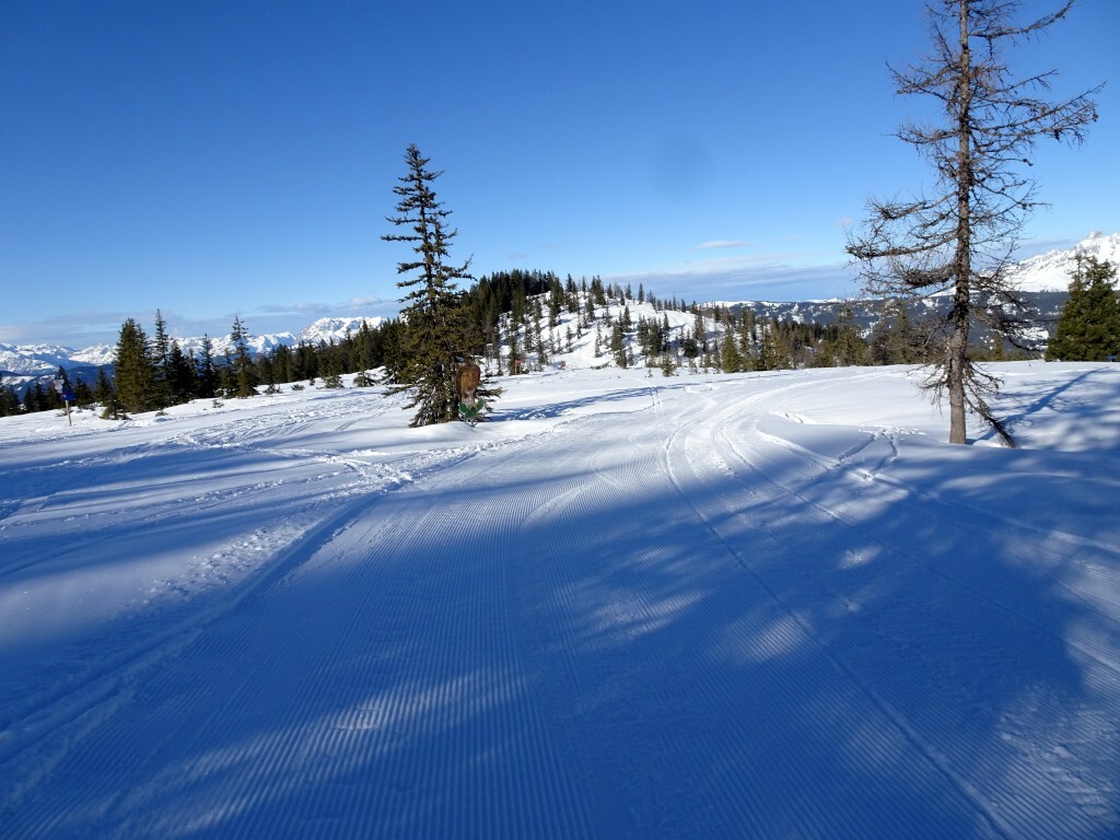 Skiroute 1: Tiere vom Fagerwald.