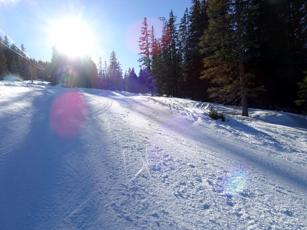 Skiweg Jägerlift (2a).