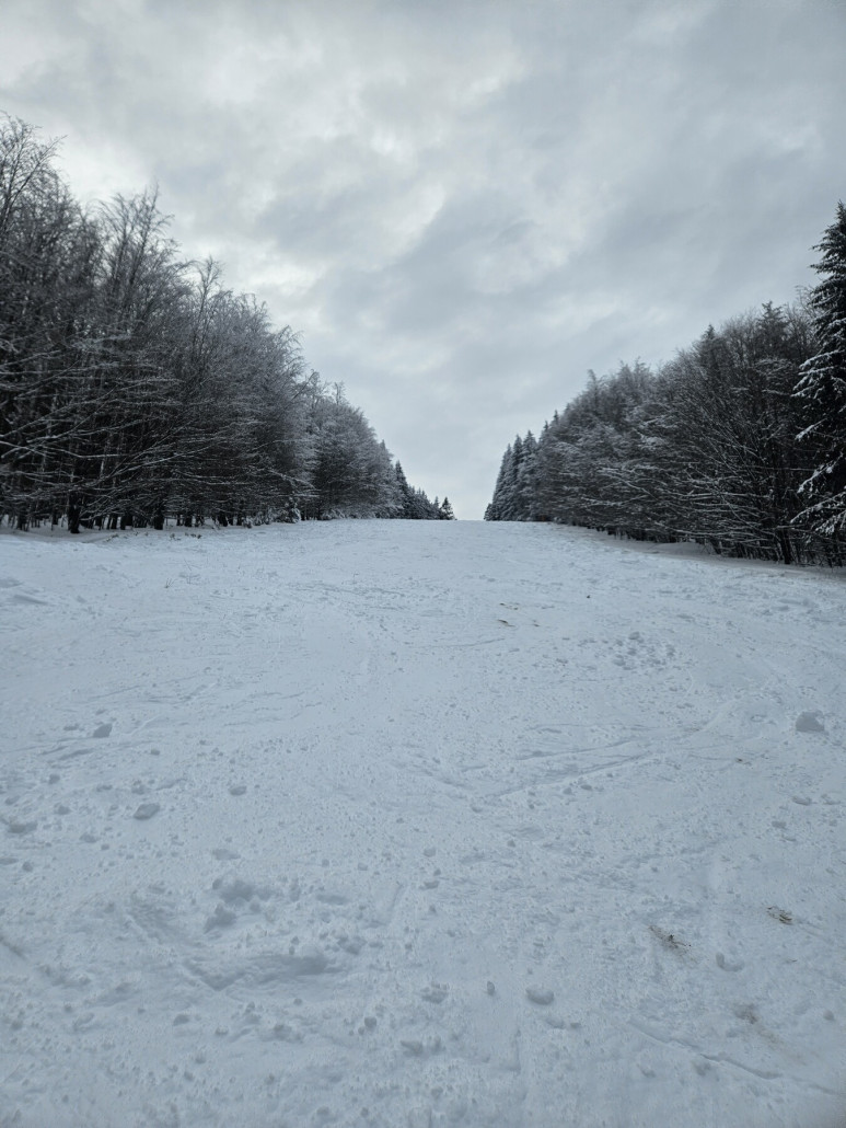 FIS Abfahrt am Westfalenhang, nicht präpariert aber gut zu fahren