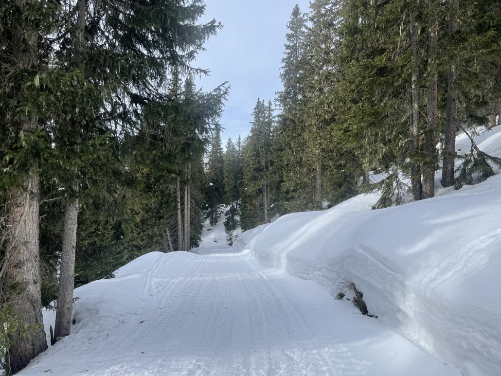 Der Zieh- bzw. später auch Rodelweg