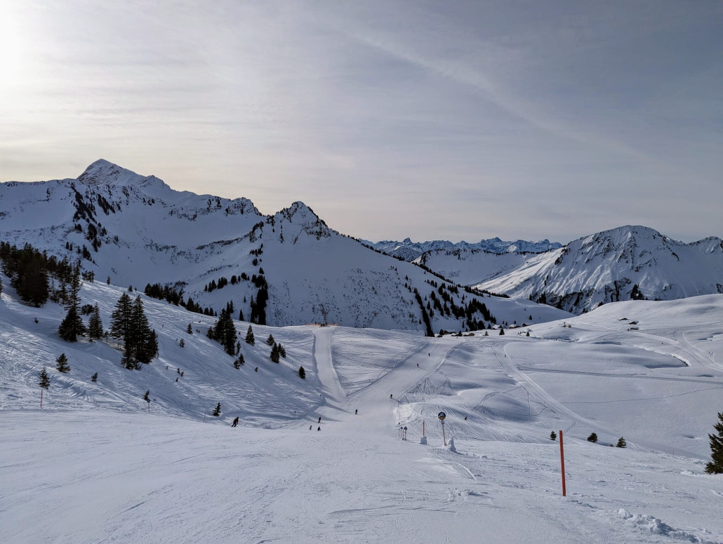 WhatsApp Bild 2024-01-22 um 18.54.50_34a668cb.jpg