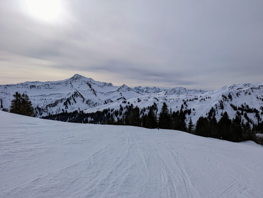 WhatsApp Bild 2024-01-22 um 18.54.49_f9551287.jpg