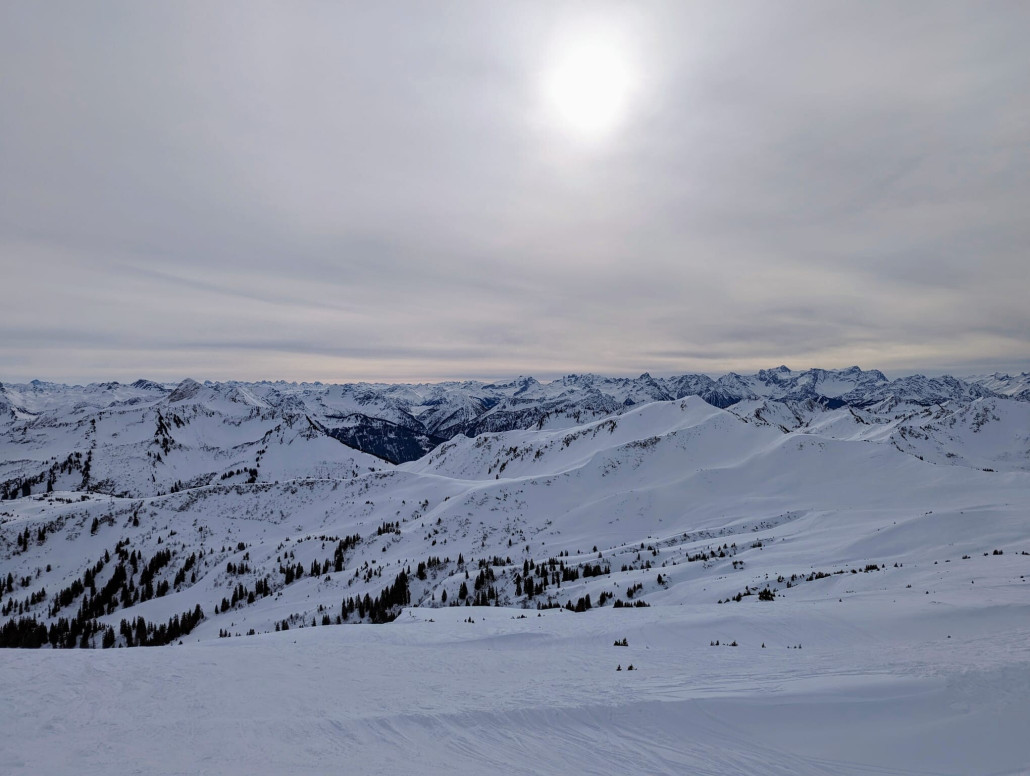 WhatsApp Bild 2024-01-22 um 18.54.48_4426835b.jpg