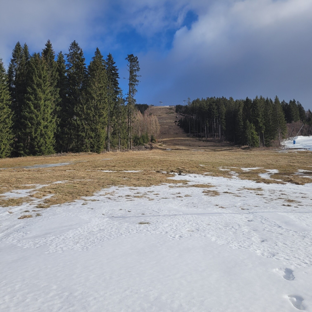 " Schwarze " Piste 3; leider ohne Schnee