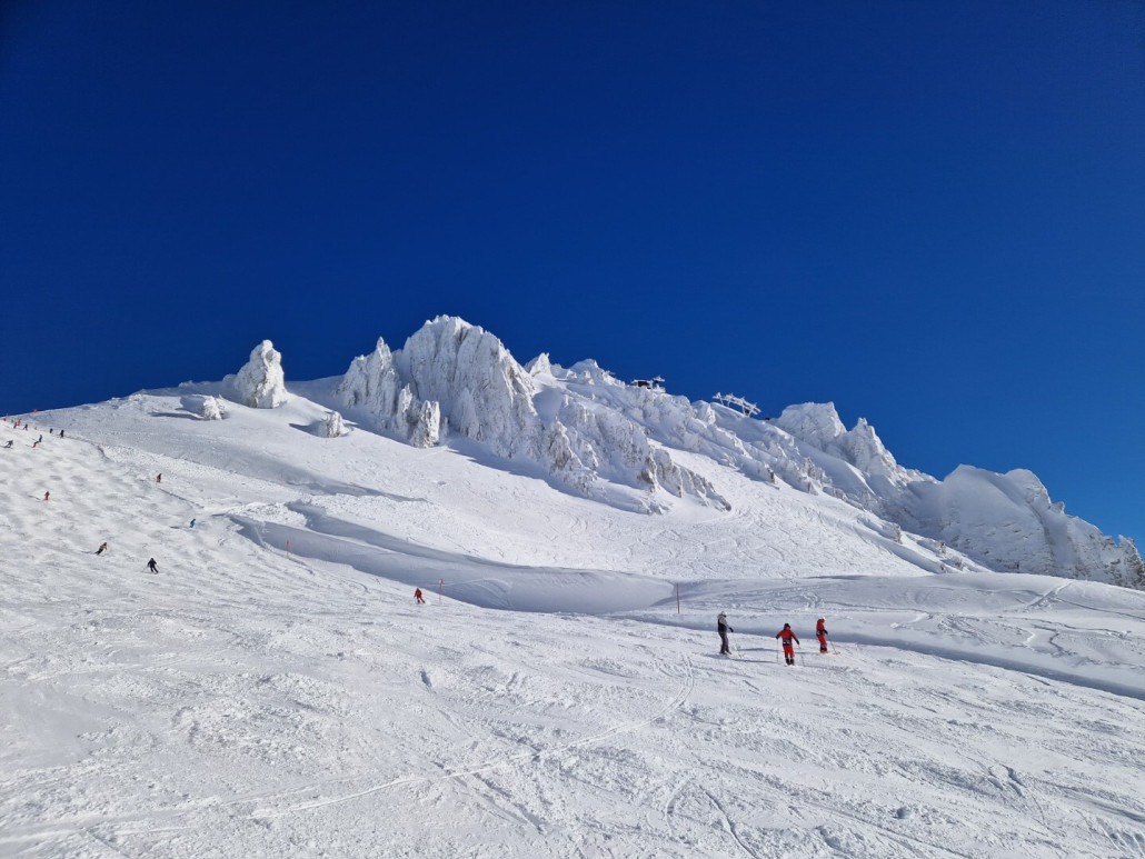 SonnenJanuar_2024_LZTG_by_Markus_Hahn (53).jpg