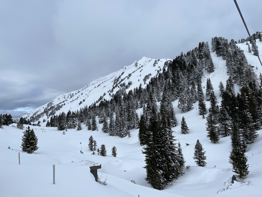 31 grwk b 3 seekareck.jpg