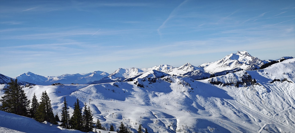 IMG_20240205_111208 (Groß).jpg