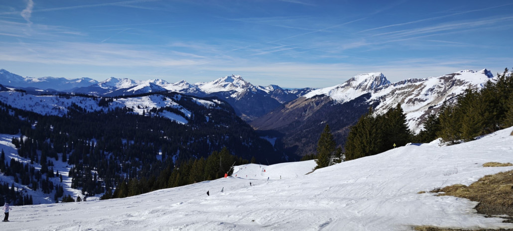 IMG_20240205_121058 (Groß).jpg