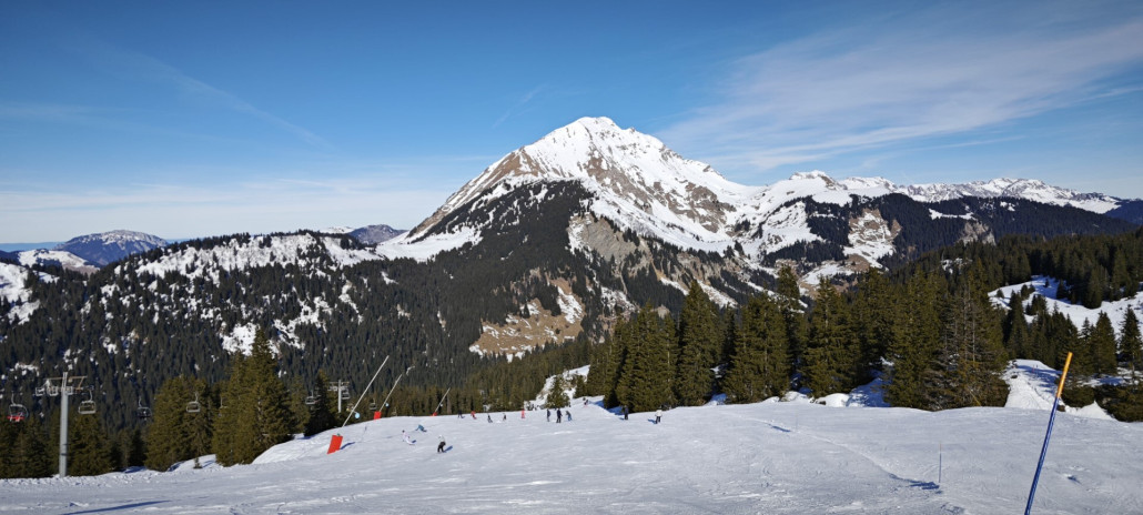 IMG_20240205_110152 (Groß).jpg