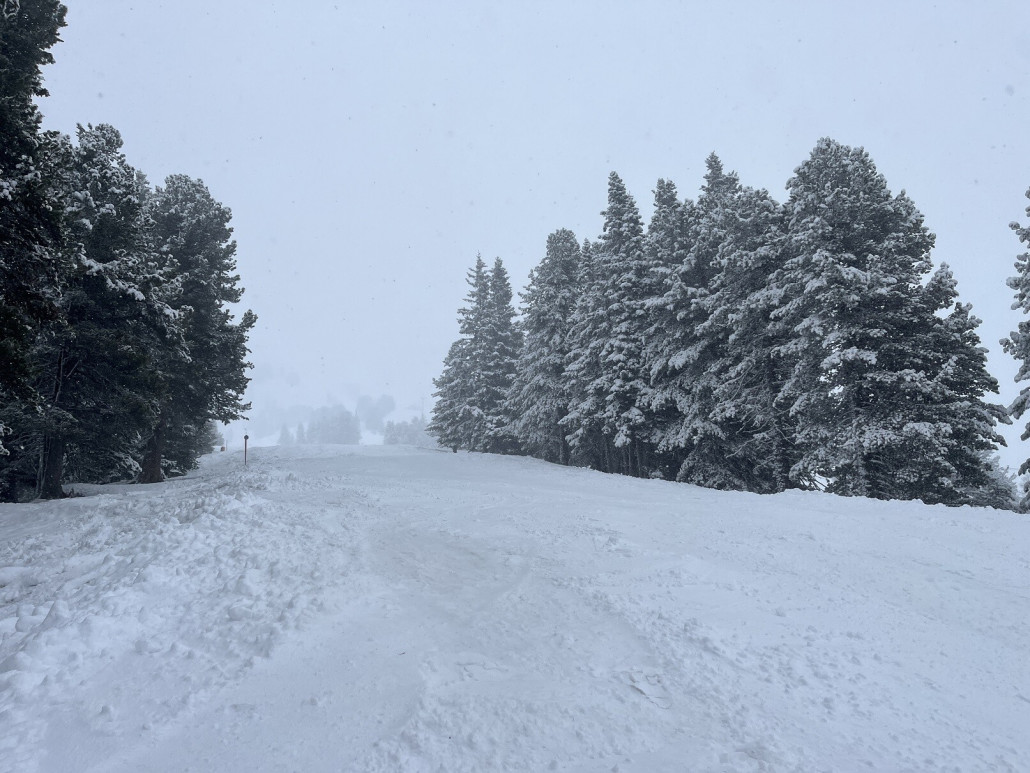 15a - weitere Variante am Sonnenlift, leider wurde der Schnee etwa ab meinem Standort dann schwer, oberhalb aber waren schöne Varianten möglich