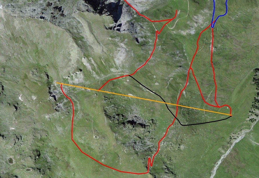 Lage der Pisten von Les Arpilles auf der swisstopo-Karte (der untere Teil der roten Piste, nach der Kreuzung mit der schwarzen Piste, ist momentan geschlossen).