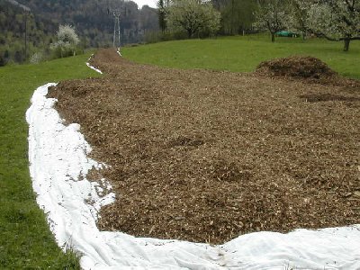 hier sieht man eine piste aus holzschnitzel. die muss angelegt werden, um unter anderem den druck der darüberfahrenden LKWs zu verteilen. so wird der boden geschützt.