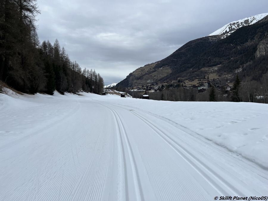 Plat de Lautrec (Evolène)