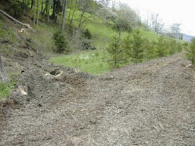 ein fall für die kantonale bodenschutzfachstelle: hier wurde neben der piste mit schwerem gerät gefahren.