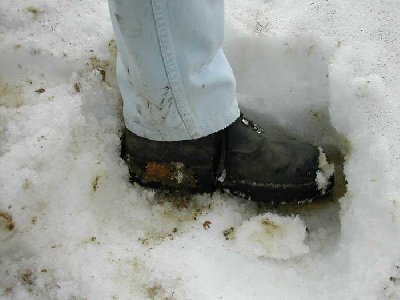 am letzten schneefeld am vogelberg auf geschätzten 1150m über meer gehe ich zum letzten mal für diese saison auf tuchfühlung mit dem über alles geliebten element schnee. man beachte, es ist der 01.05.2006