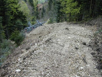 ich folgte den spuren des raupenbaggers und ich fand ihn! der gefällte niederhalter!