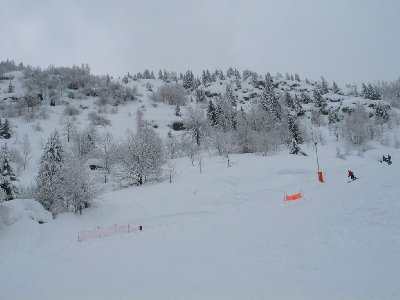 Typisches Relief an der &amp;quot;Vaujaniate&amp;quot;: wenig dichter Wald, Felsen, Steilstufen