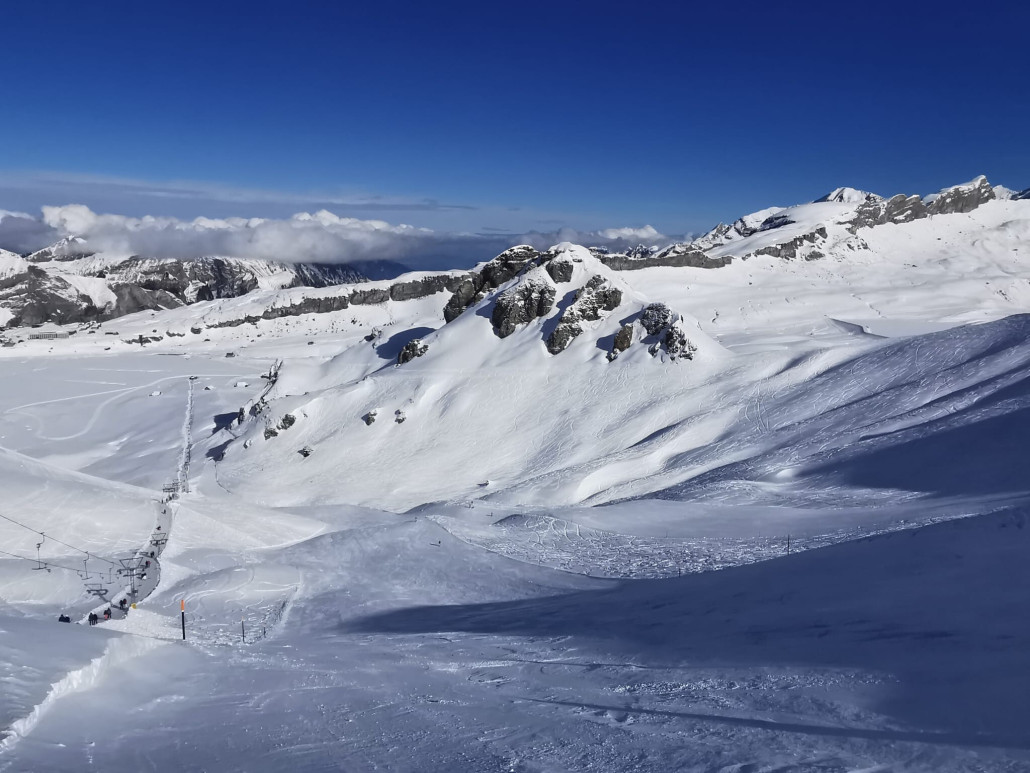 WhatsApp Image 2024-03-01 at 22.13.17.jpeg