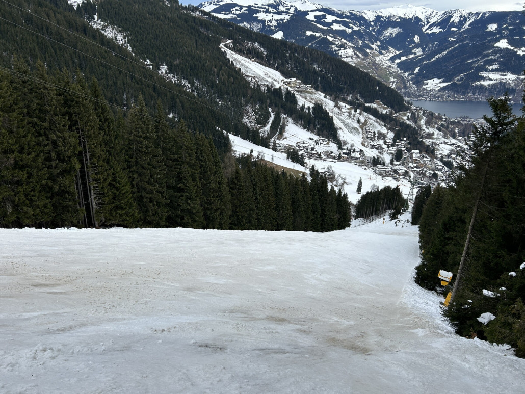 Foto von Dienstag, seitdem sind die braunen Flecken deutlich größer geworden