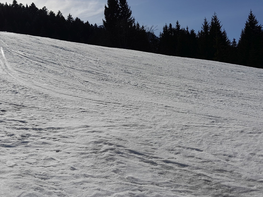 Schmiedalm: die Piste ist sehr gut, ganz unten einige braune Stellen