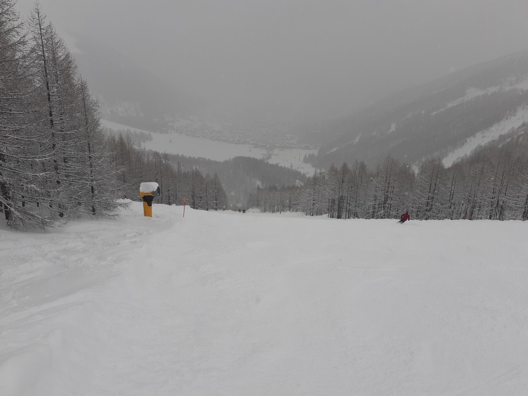 6b Sperwerzucht (Mittwoch 6.3.)