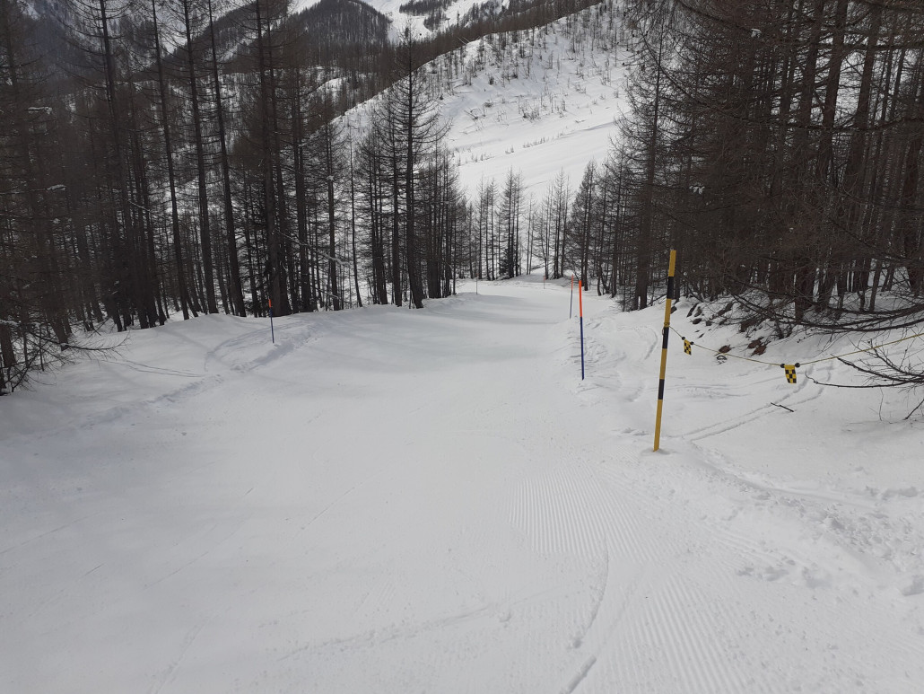 20 Stafelwald / Waldabfahrt (Freitag 8.3.)