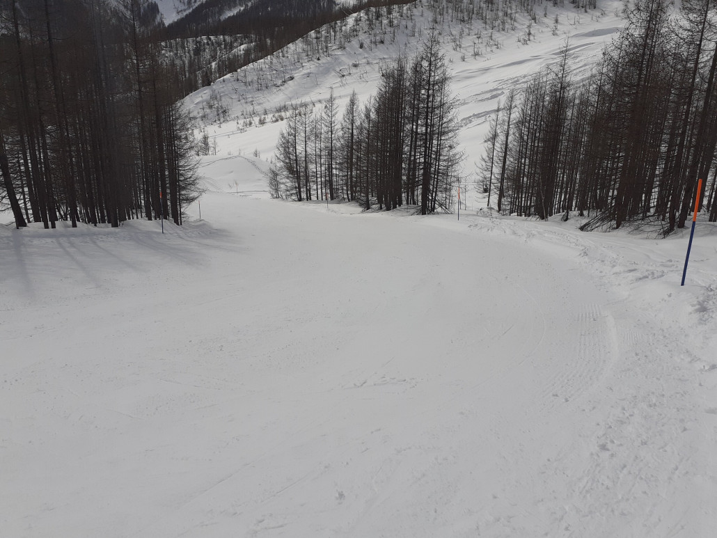 20 Stafelwald / Waldabfahrt (Freitag 8.3.)