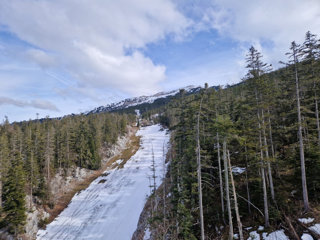 Villards_2024 (18).jpg