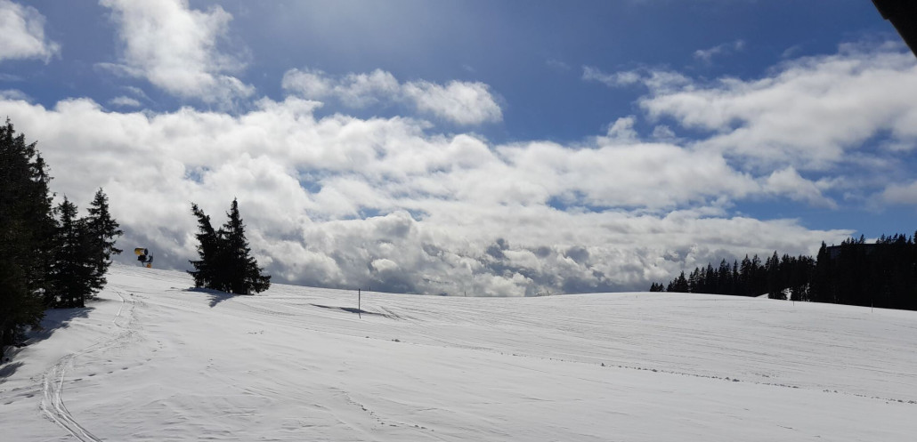 Aualm: oben ein Genuß