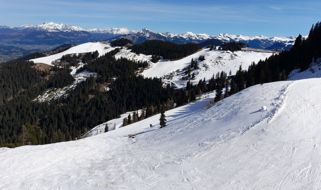 Talabfahrt Scheffau, ganz oben. Im Hintergrund der Hartkaiser mit Ellmi6er, Kaiserexpress  und Tanzboden