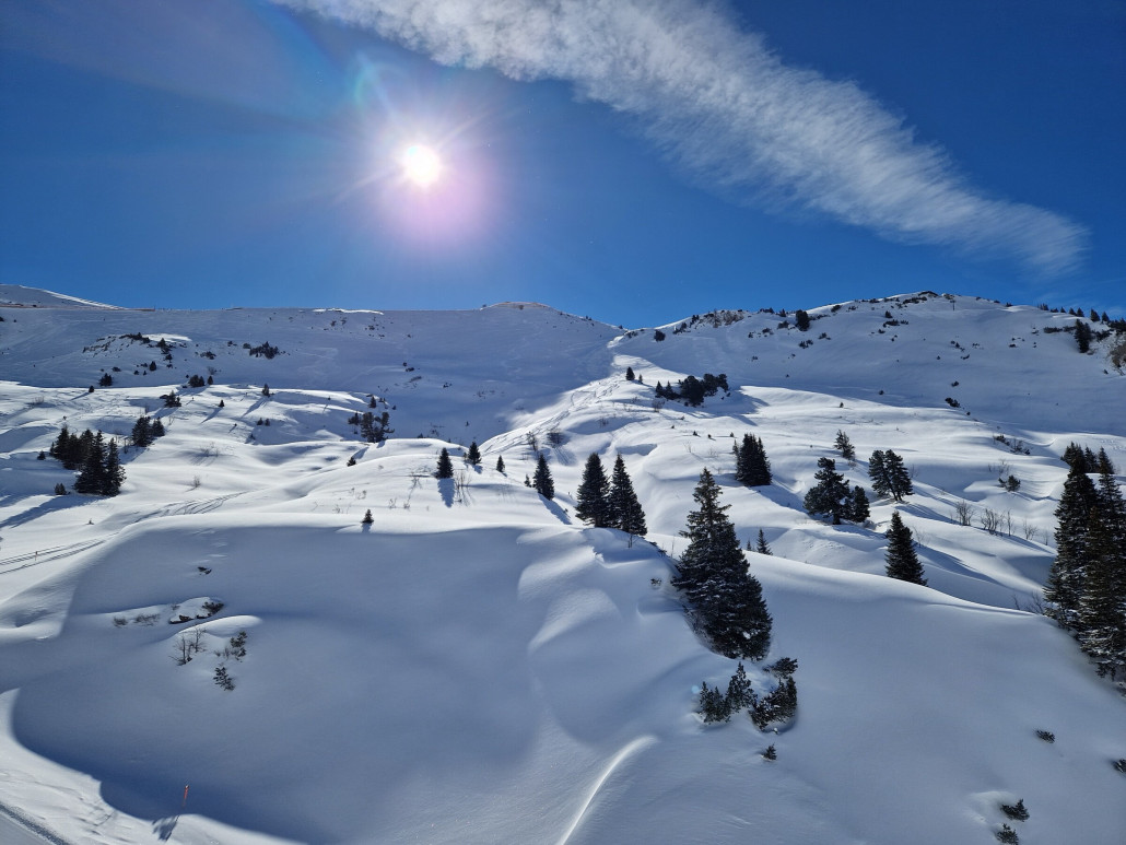 Powdermonday_LZTG_by_Markus_Hahn (35).jpg