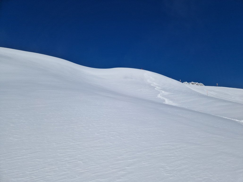 Powdermonday_LZTG_by_Markus_Hahn (46).jpg