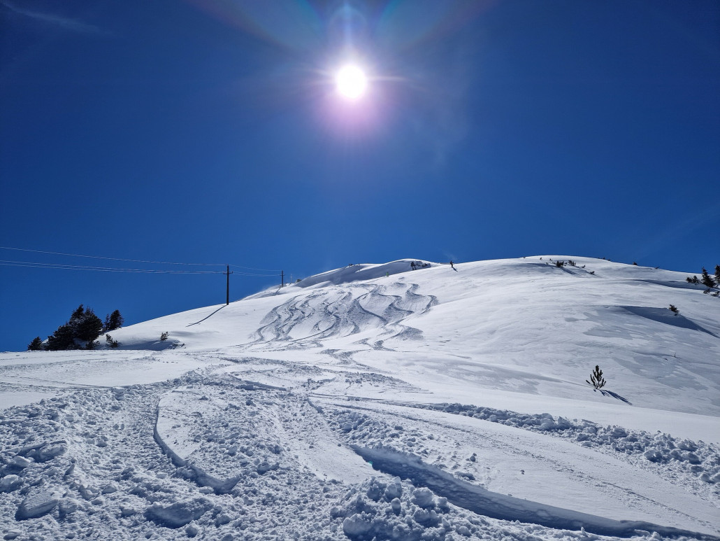 Powdermonday_LZTG_by_Markus_Hahn (85).jpg