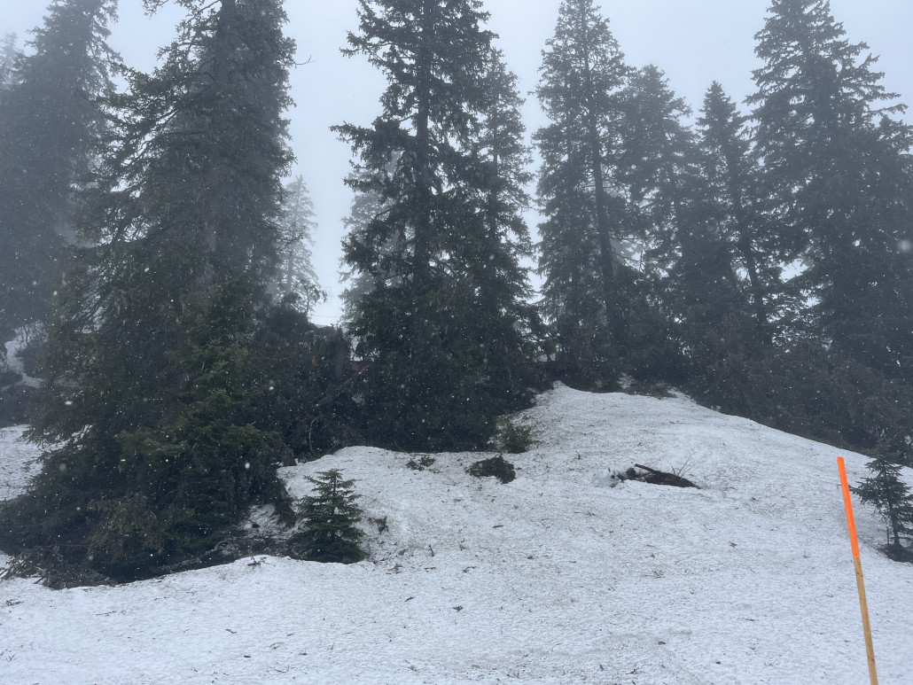 Der Föhnsturm hat seinen Tribut gefordert