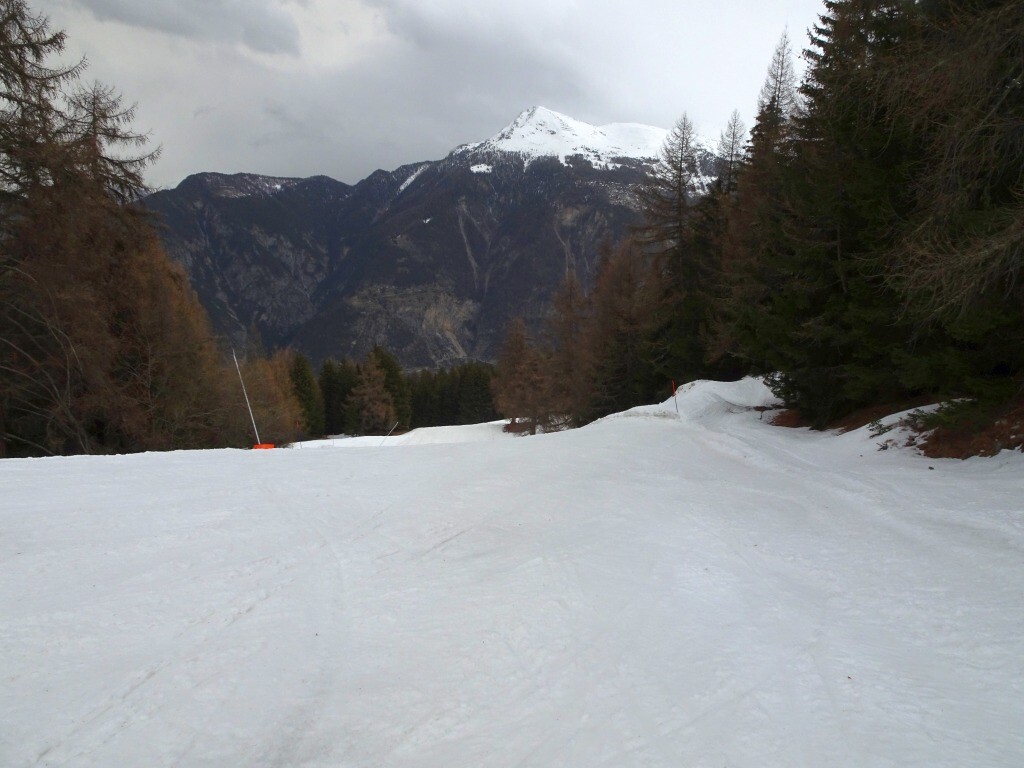 Die Abfahrt ins Tal.