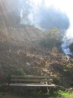 Ein lauschiges Plätzchen am Wanderweg!