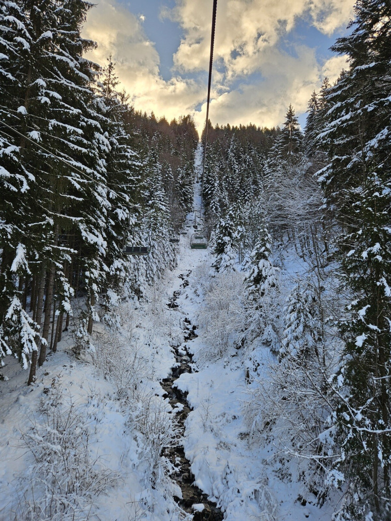 schöne, ruhige Auffahrt durch die Waldtrasse
