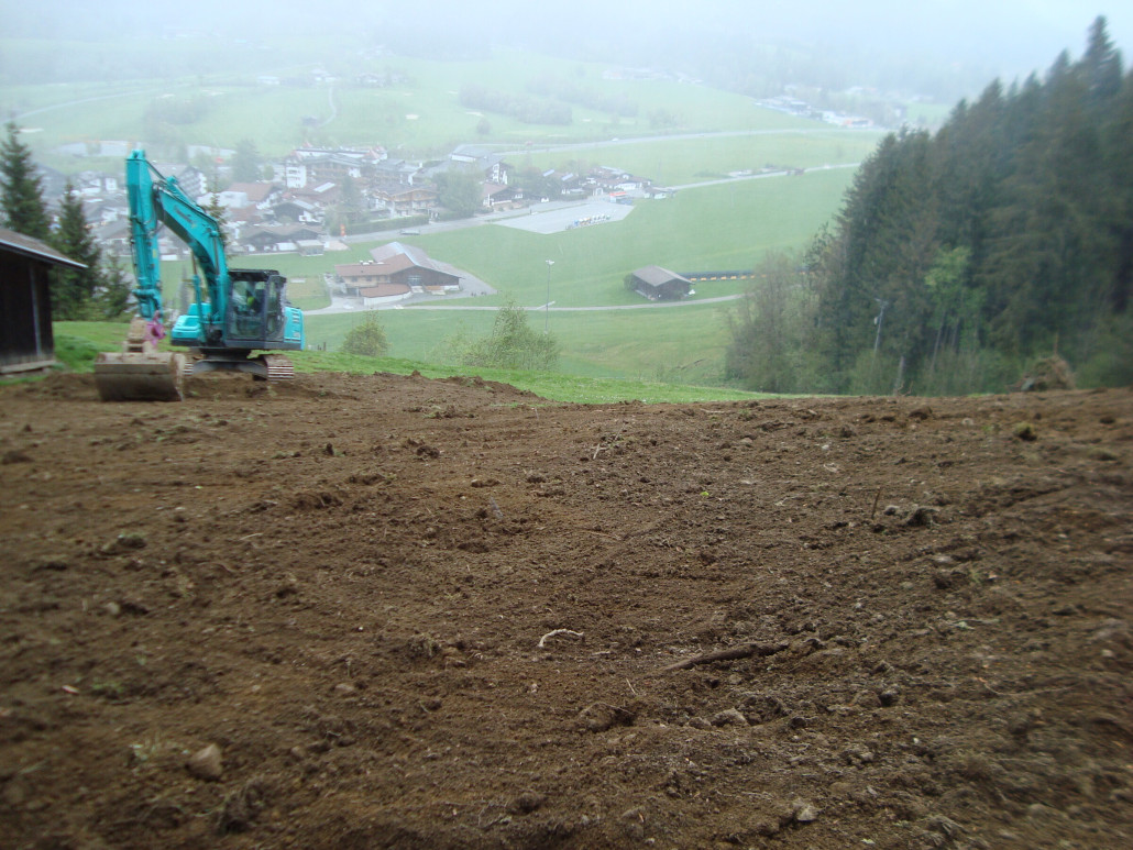 DSC08191 - Kopie.JPG