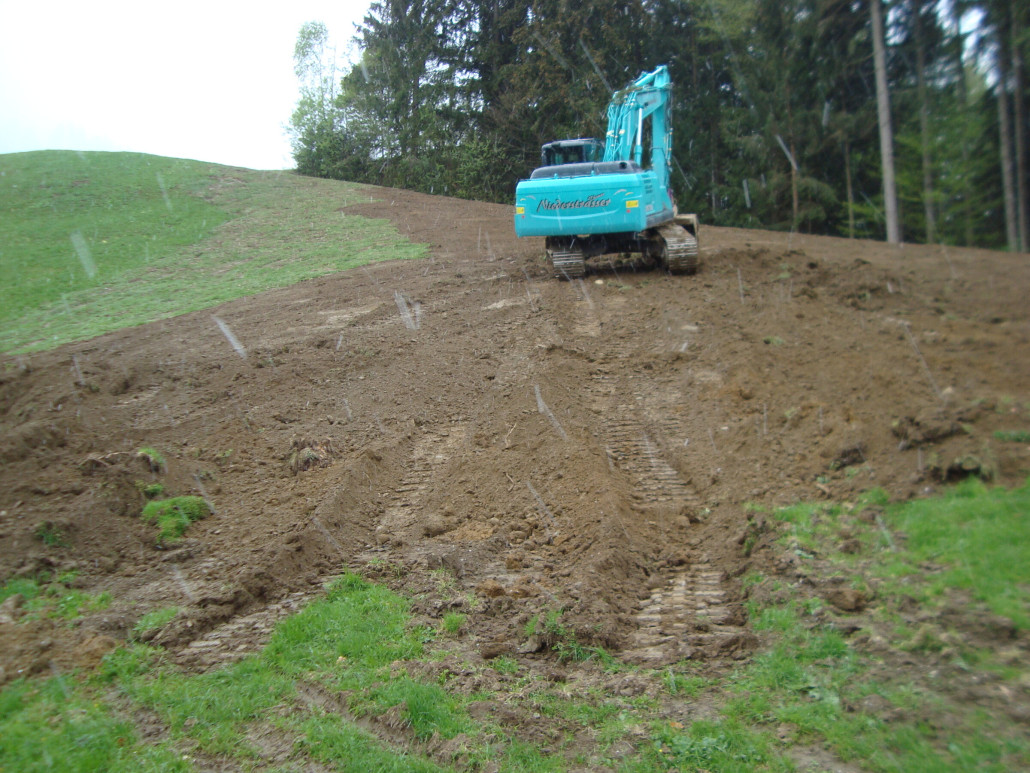 DSC08199 - Kopie.JPG