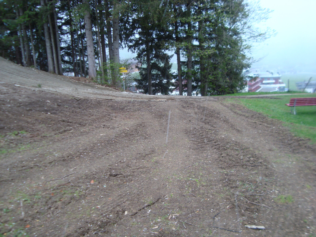 DSC08200 - Kopie.JPG