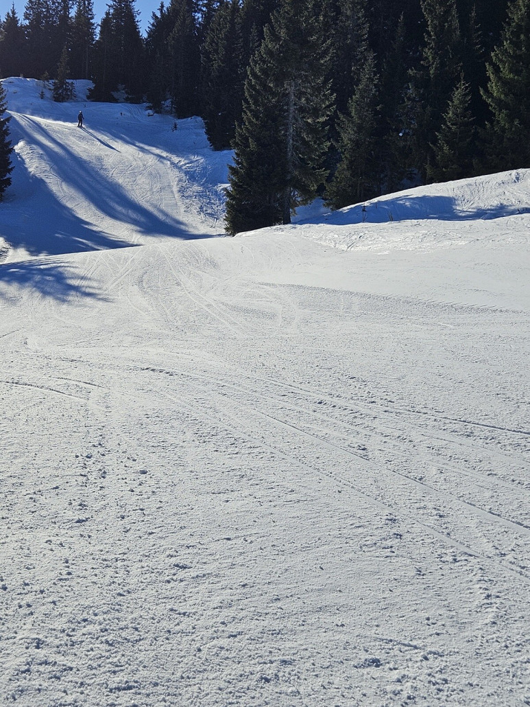 viele Waldabfahrten hier