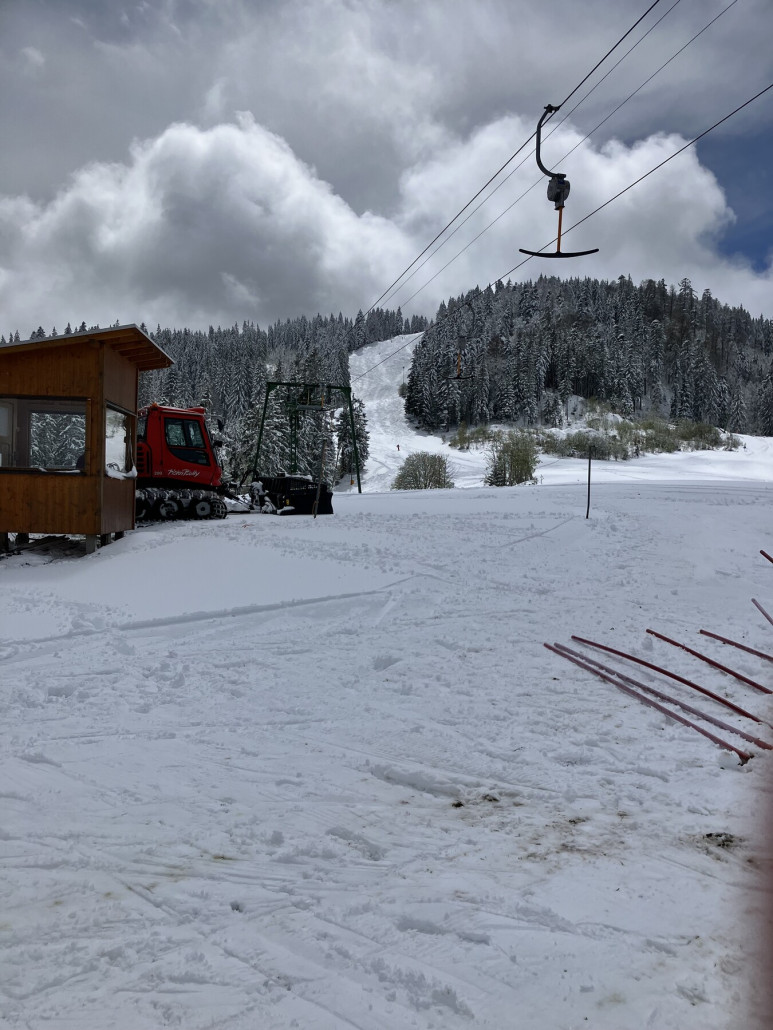 Braune Stellen im Schnee