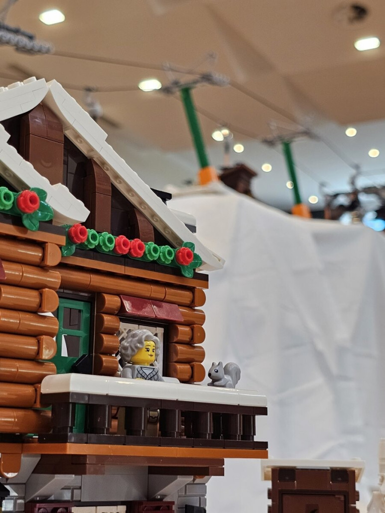 Der Schlepplift im Hintergrund.