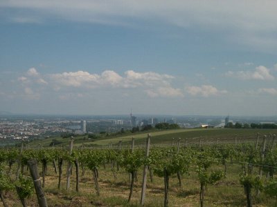 Blick auf die Donau City rund um die UNO City am linken Donauufer