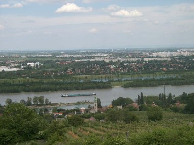 Donaublick vom Heurigen Hirt in den Weingärten unterhalb des Leopoldsberg