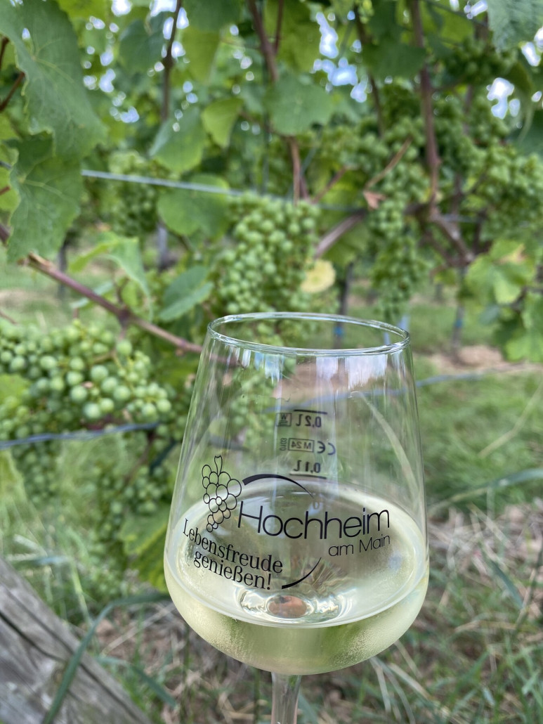 Weingut Dorothea Hartmann, 2022er Hochheimer Riesling, halbtrocken