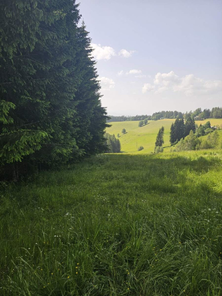 Weberwirt LSAP 2.jpg